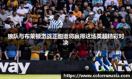 狼队与布莱顿激战正酣谁将赢得这场英超精彩对决